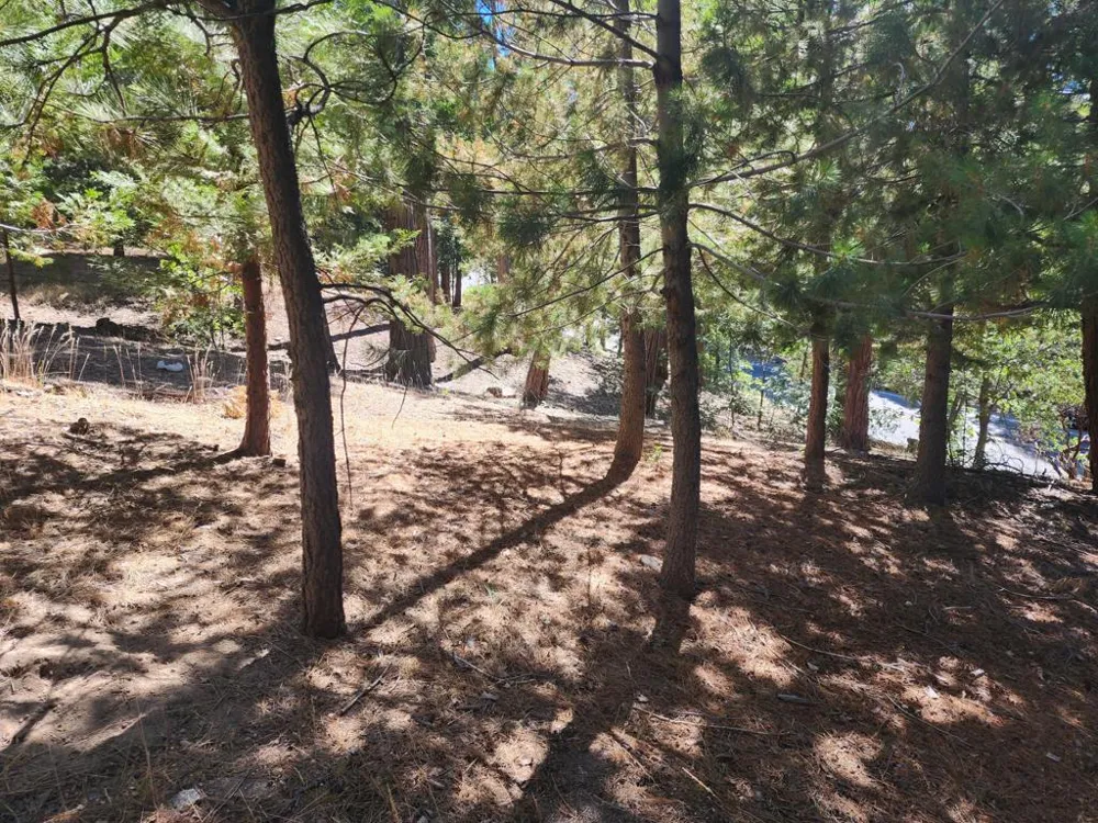 Grass Valley Lake Arrowhead, CA 92352