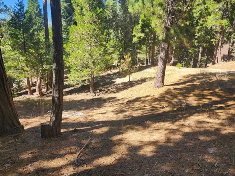 Grass Valley
