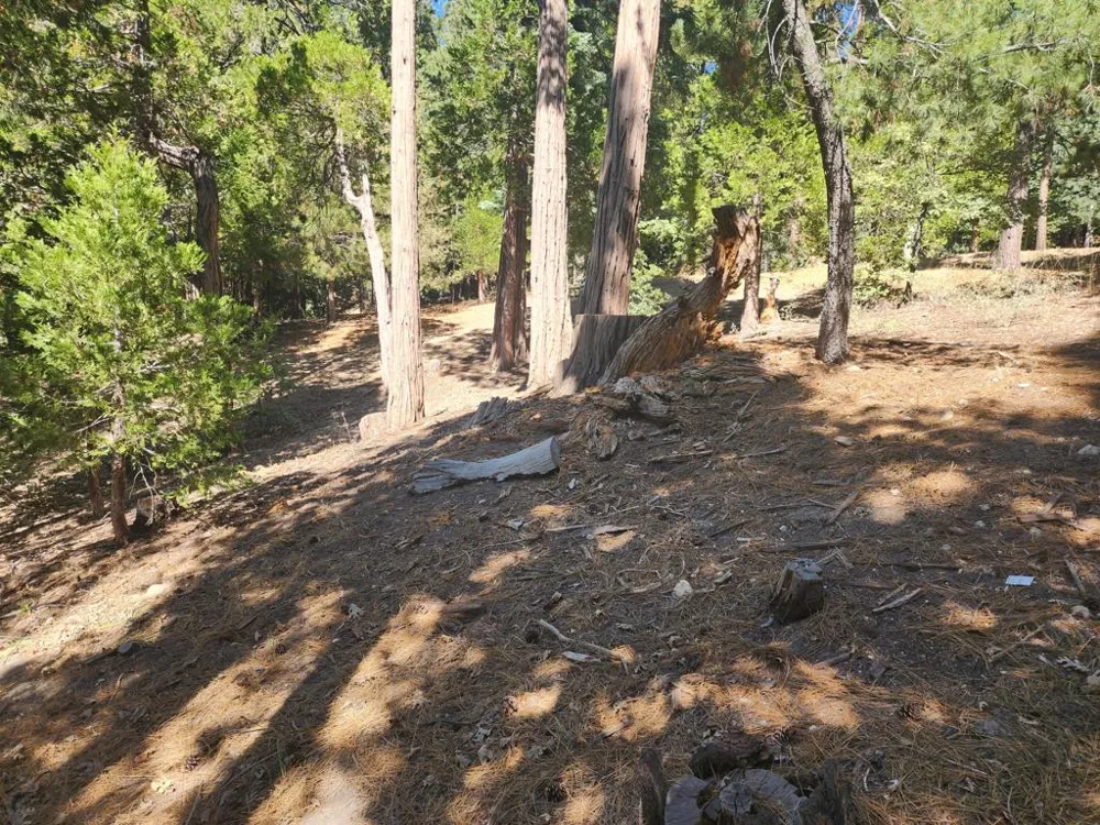 Grass Valley Lake Arrowhead, CA 92352
