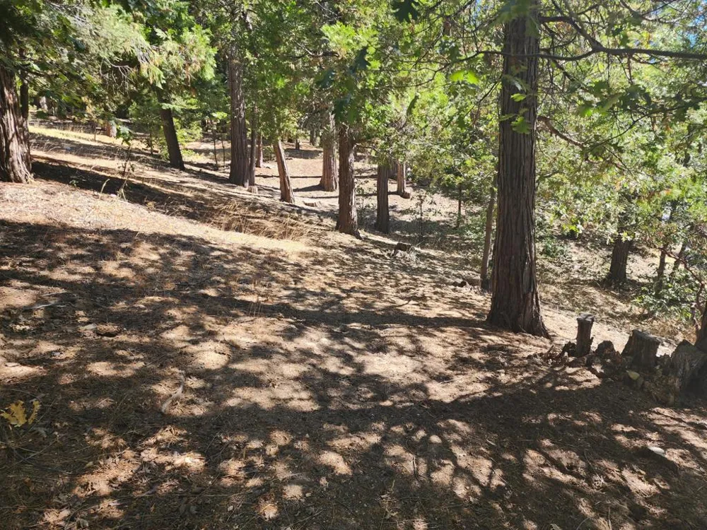 Grass Valley Lake Arrowhead, CA 92352