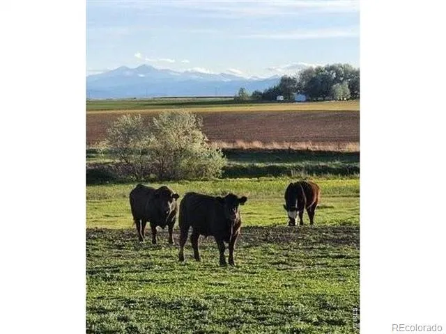 0 County Road 76 1/2 Windsor, CO 80550