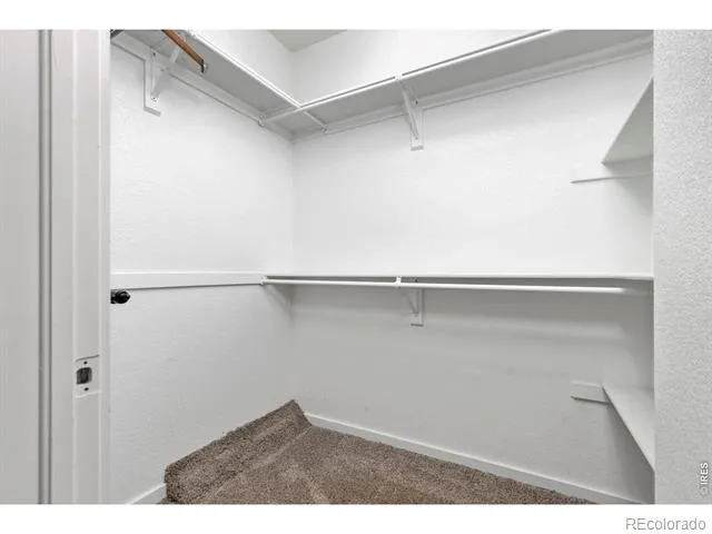 171 Cobalt Avenue Loveland, CO 80537