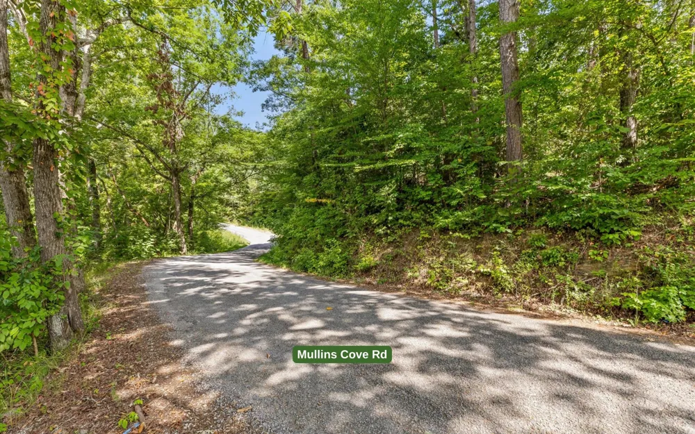 35 Mullins Cove Road Whitwell, TN 37397