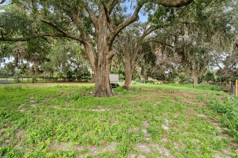 1750 SW 17TH TERRACE Bell, FL 32619