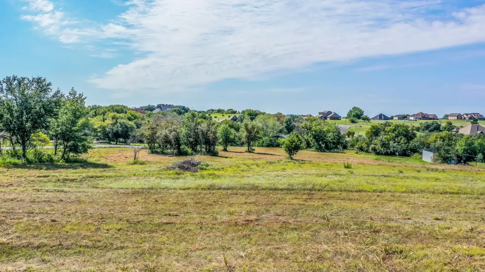 Canyon CREEK Drive Brock, TX 76087