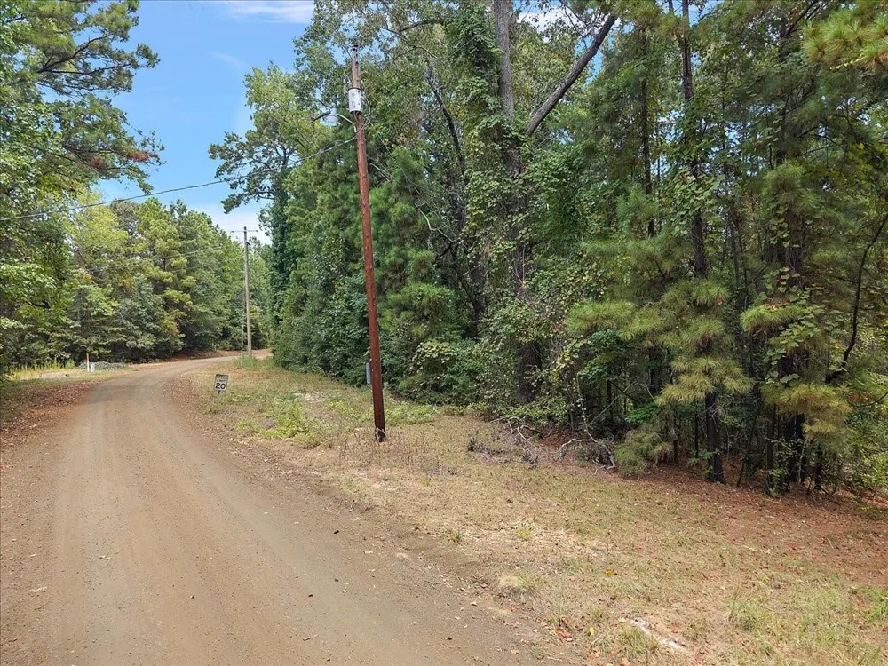 Rods Road Hemphill, TX 75948