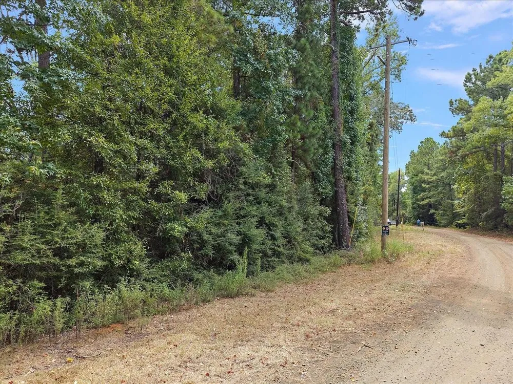 Rods Road Hemphill, TX 75948