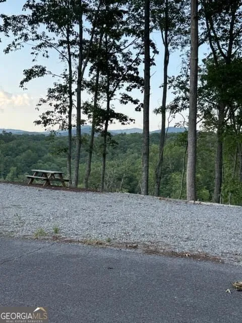 290 Eagle View DR Ellijay, GA 30540