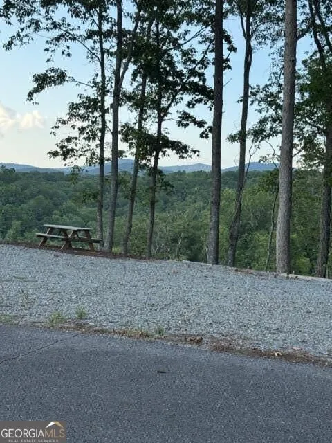 290 Eagle View DR Ellijay, GA 30540