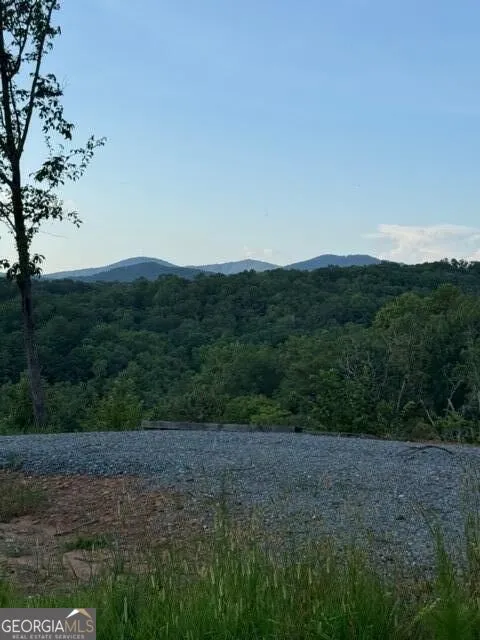 290 Eagle View DR Ellijay, GA 30540