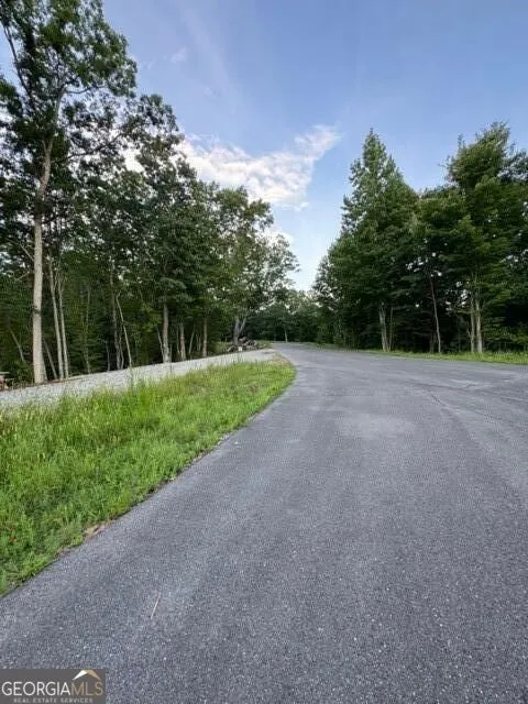 290 Eagle View DR Ellijay, GA 30540