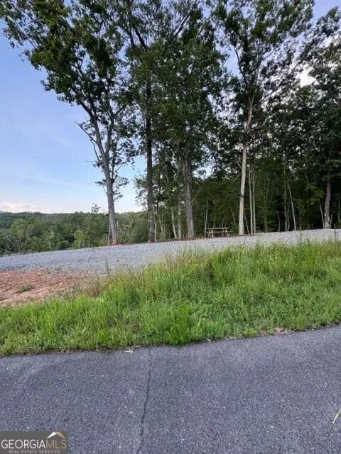290 Eagle View DR Ellijay, GA 30540