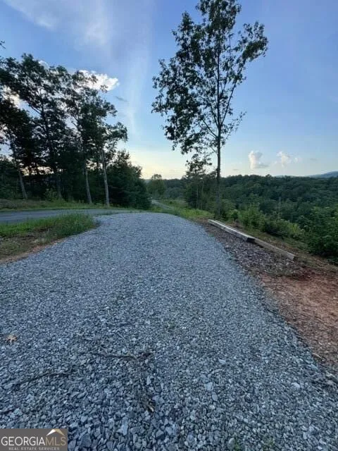 290 Eagle View DR Ellijay, GA 30540
