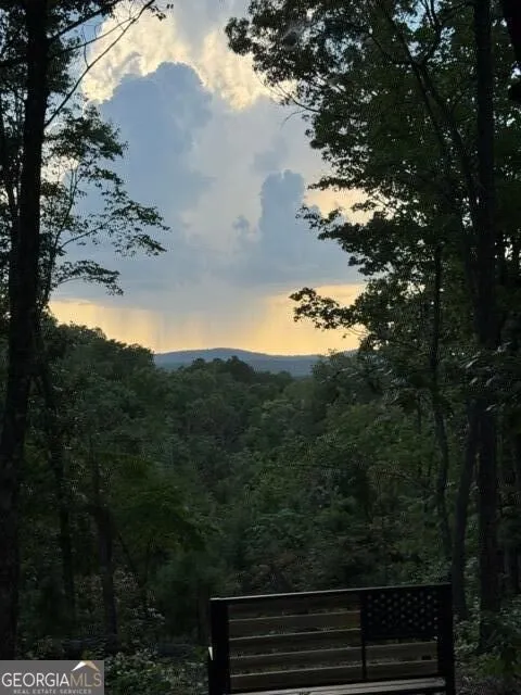 290 Eagle View DR Ellijay, GA 30540
