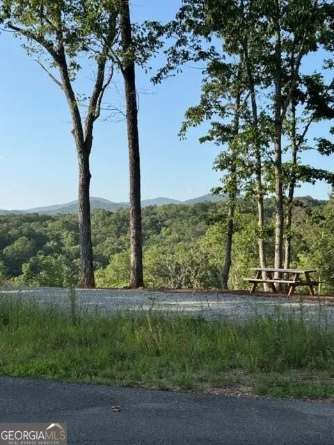 290 Eagle View DR Ellijay, GA 30540