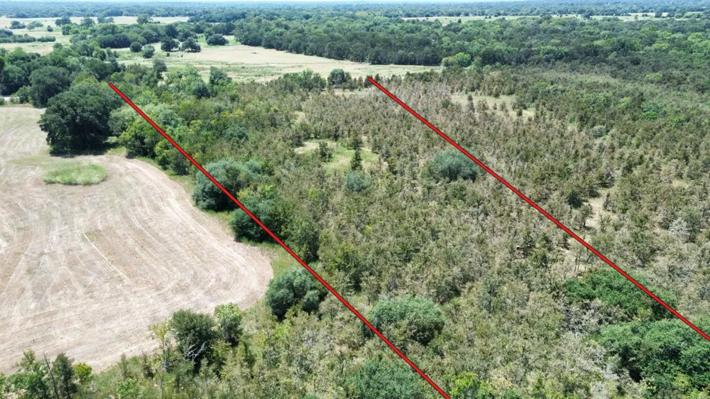 141 Giddings, TX 78942