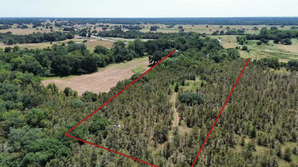 141 Giddings, TX 78942