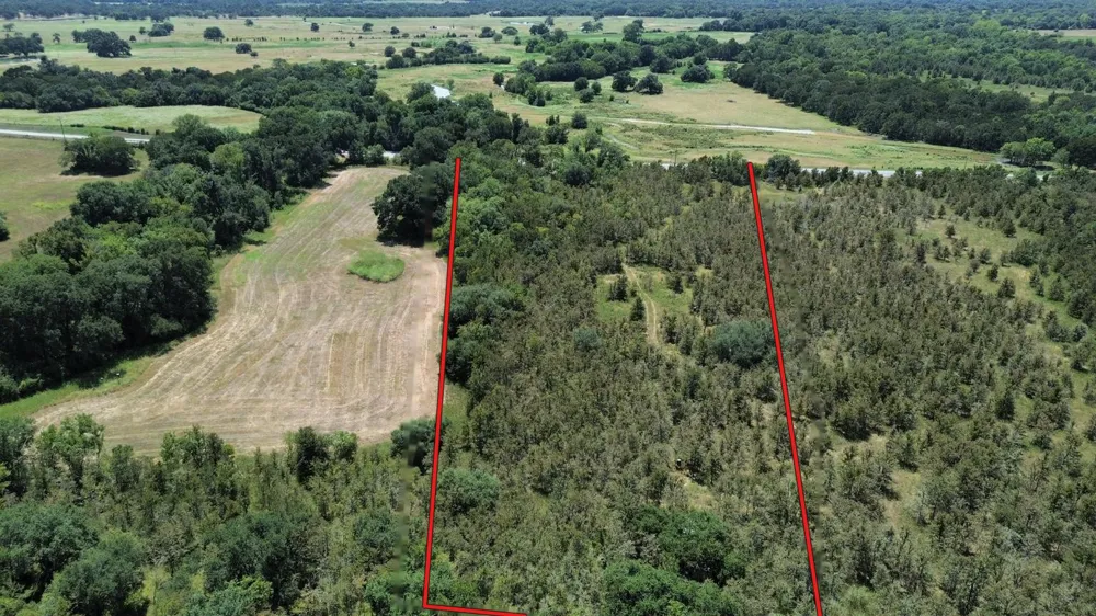 141 Giddings, TX 78942
