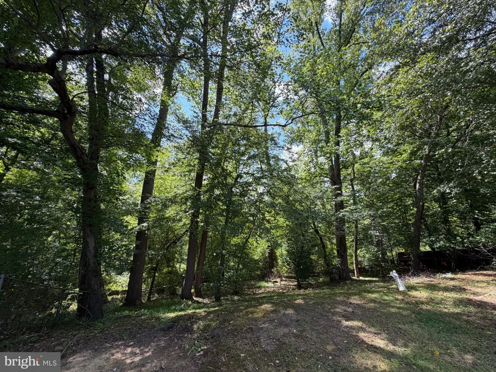 15607 PEYTON COURT Bowie, MD 20716