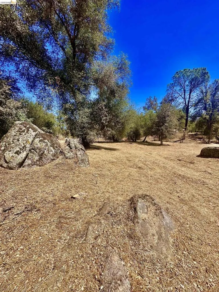 4069 BUCKEYE RD. Mariposa, CA 95338