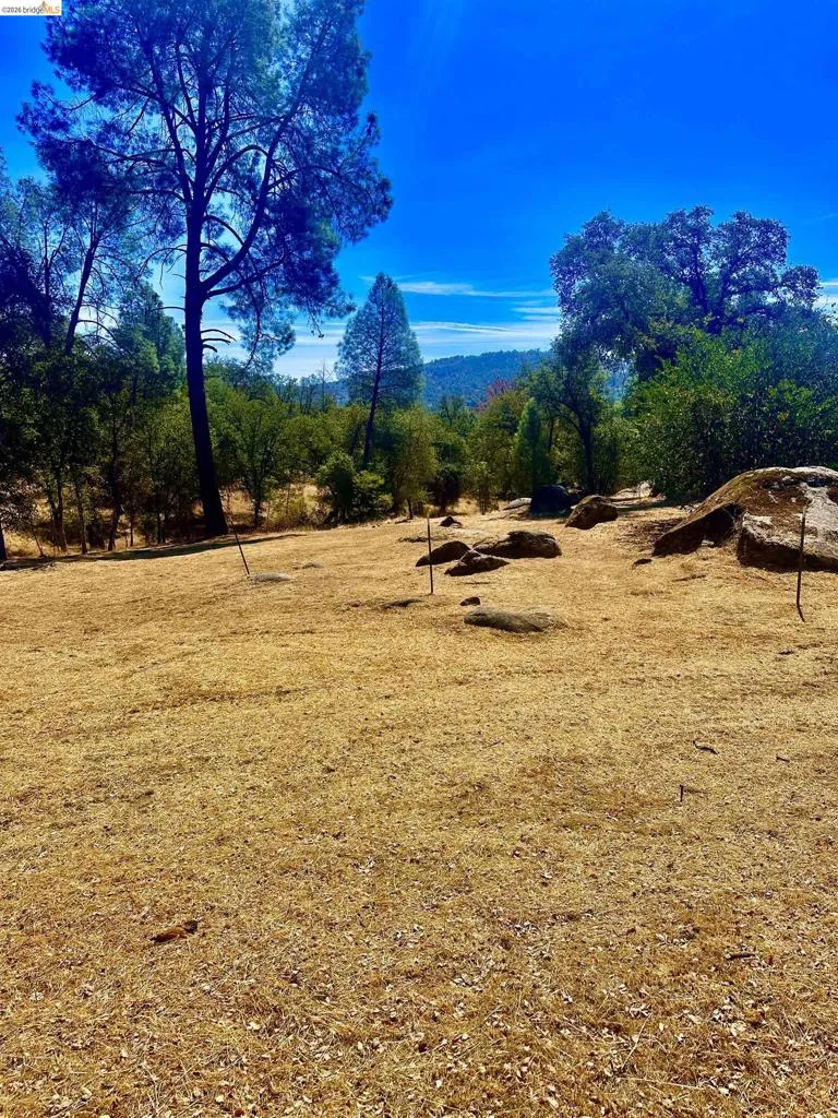 4069 BUCKEYE RD. Mariposa, CA 95338