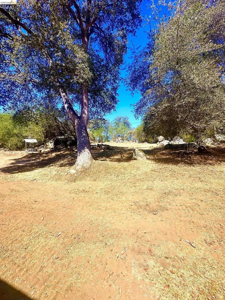 4069 BUCKEYE RD. Mariposa, CA 95338