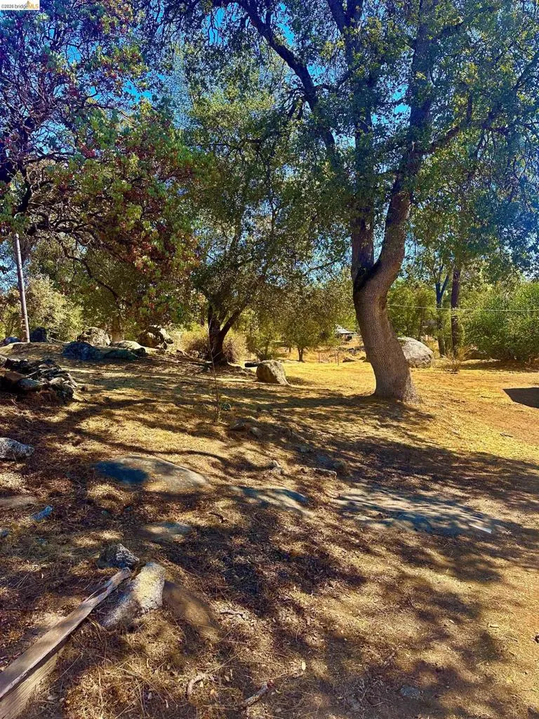 4069 BUCKEYE RD. Mariposa, CA 95338