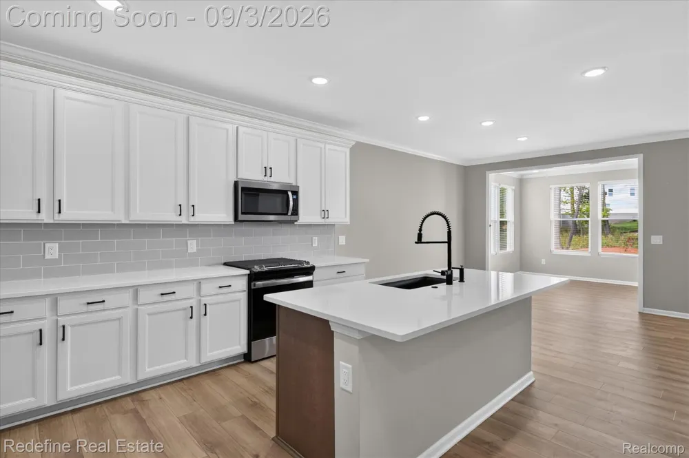 59564 Schuss Gully Drive Lyon Charter Township, MI 48165