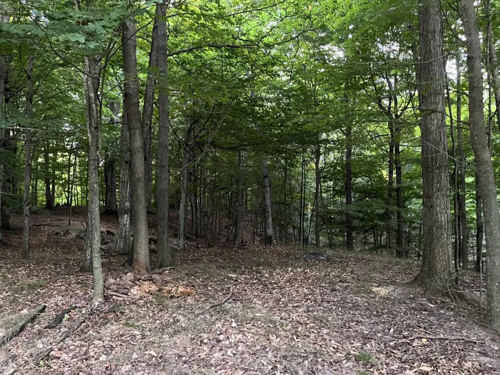 6085 W Storm Ridge Lane Hamlin Township, MI 49431
