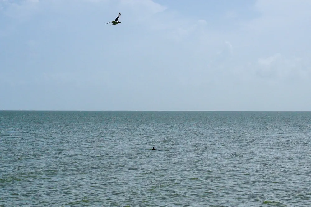 1840 Bay Shore Drive Rockport, TX 78382