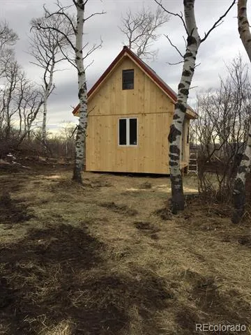 50 Fiddleneck Drive Craig, CO 81625