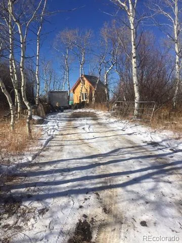 50 Fiddleneck Drive Craig, CO 81625