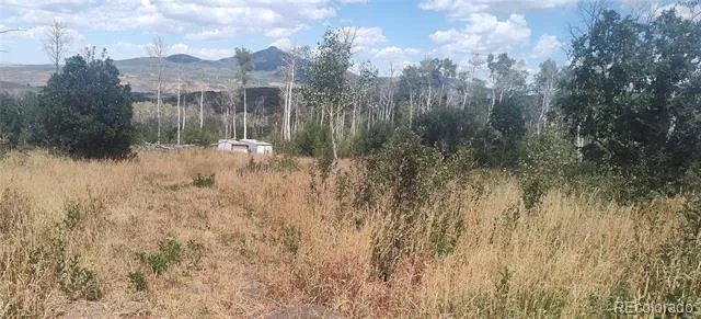 50 Fiddleneck Drive Craig, CO 81625
