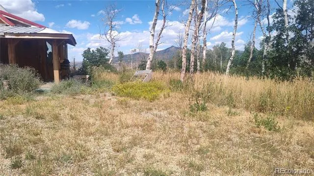50 Fiddleneck Drive Craig, CO 81625