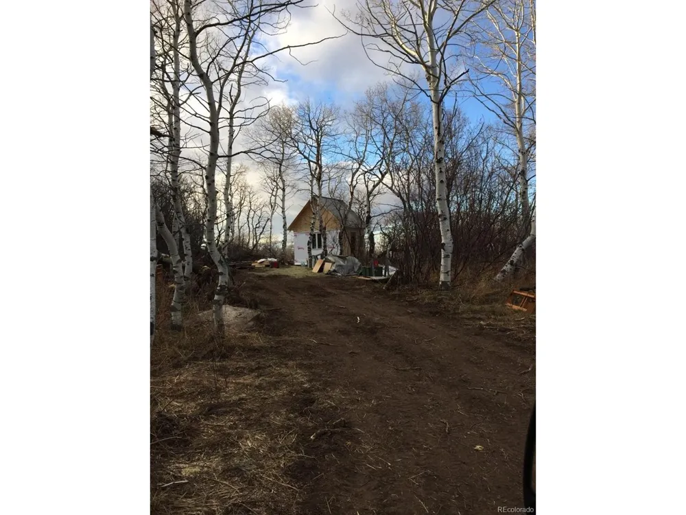 50 Fiddleneck Drive Craig, CO 81625