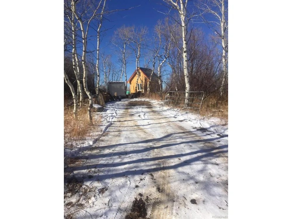 50 Fiddleneck Drive Craig, CO 81625