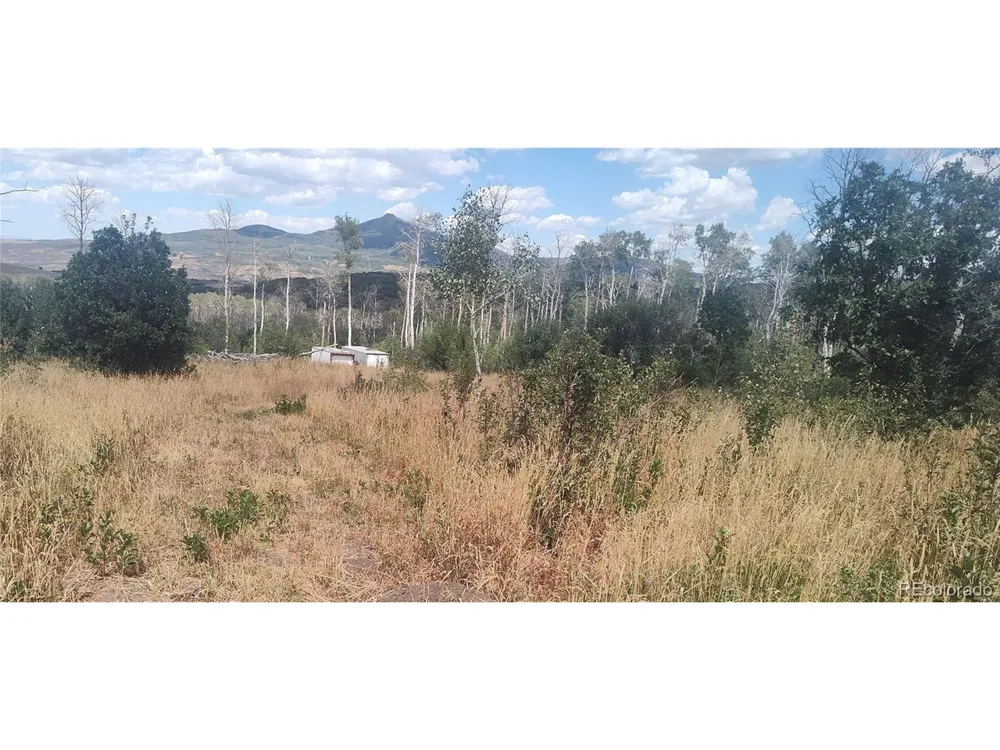 50 Fiddleneck Drive Craig, CO 81625