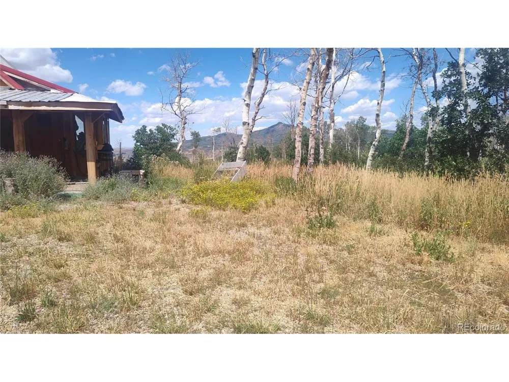 50 Fiddleneck Drive Craig, CO 81625