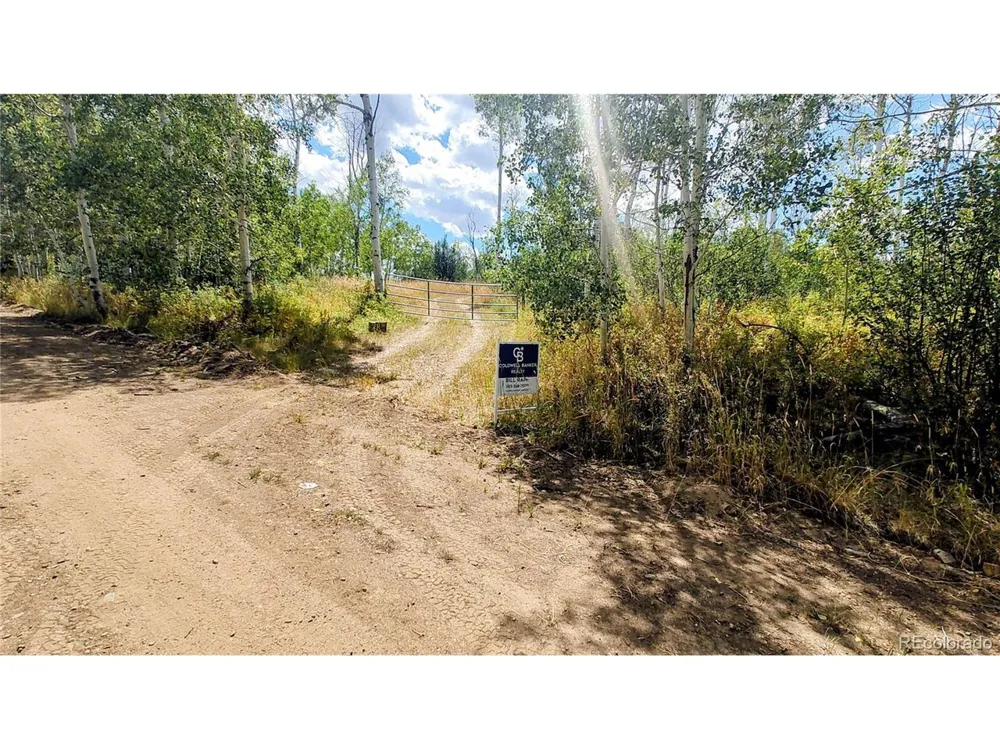 50 Fiddleneck Drive Craig, CO 81625