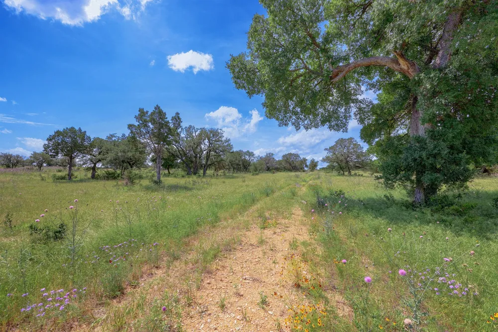19131 Wolfridge Road Killeen, TX 76549