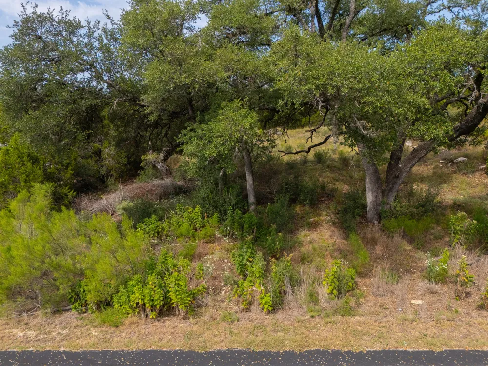 115 Upper River Pl Place Spring Branch, TX 78070