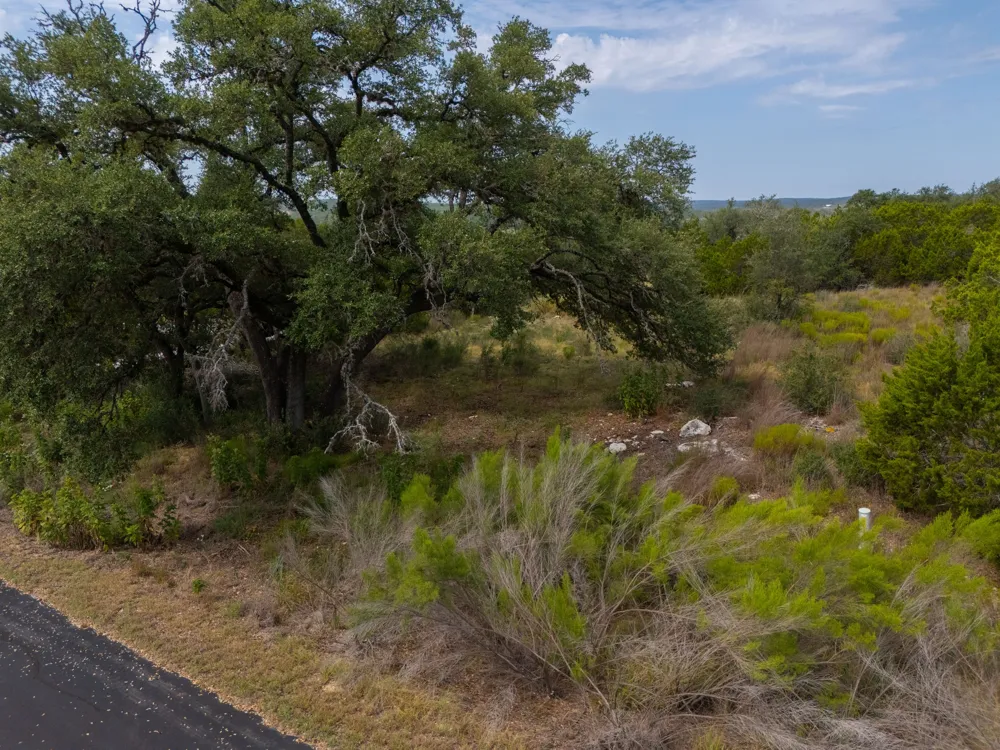 115 Upper River Pl Place Spring Branch, TX 78070