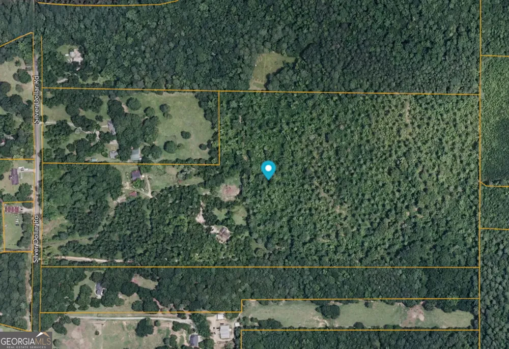 169 Silver Dollar RD Barnesville, GA 30204
