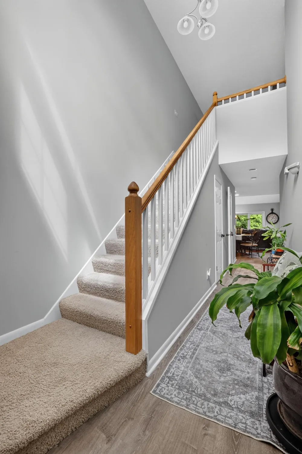 2408 Viola Heights Drive NE Rochester, MN 55906