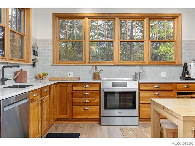 25 Shoshoni Way Nederland, CO 80466