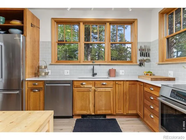 25 Shoshoni Way Nederland, CO 80466