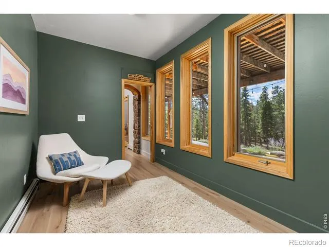 25 Shoshoni Way Nederland, CO 80466
