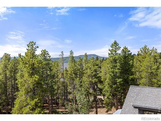 25 Shoshoni Way Nederland, CO 80466