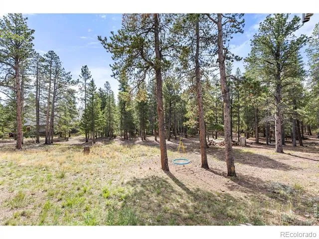 25 Shoshoni Way Nederland, CO 80466
