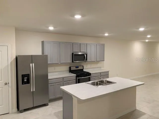 20007 ROYAL TERN COURT Leesburg, FL 34748